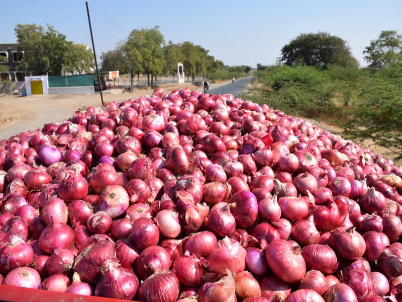 farmer in borale nandgaon taluka nashik district export of onion in dubai