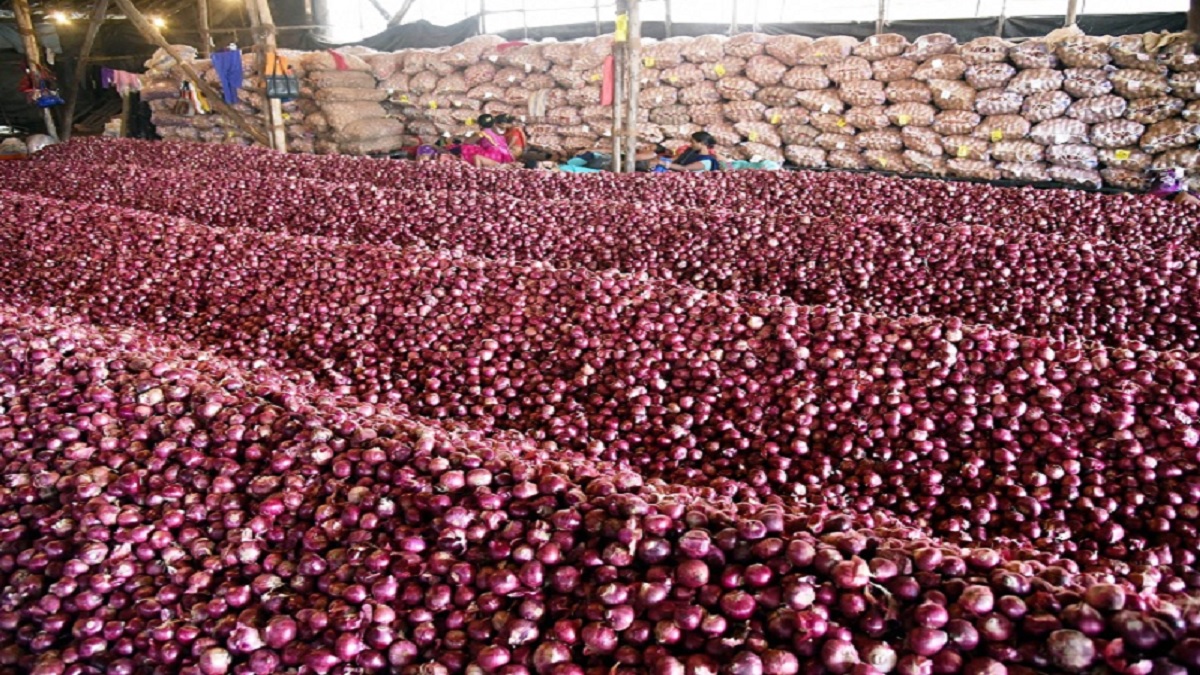onion market rate so decrease so farmer worried about onion market situation