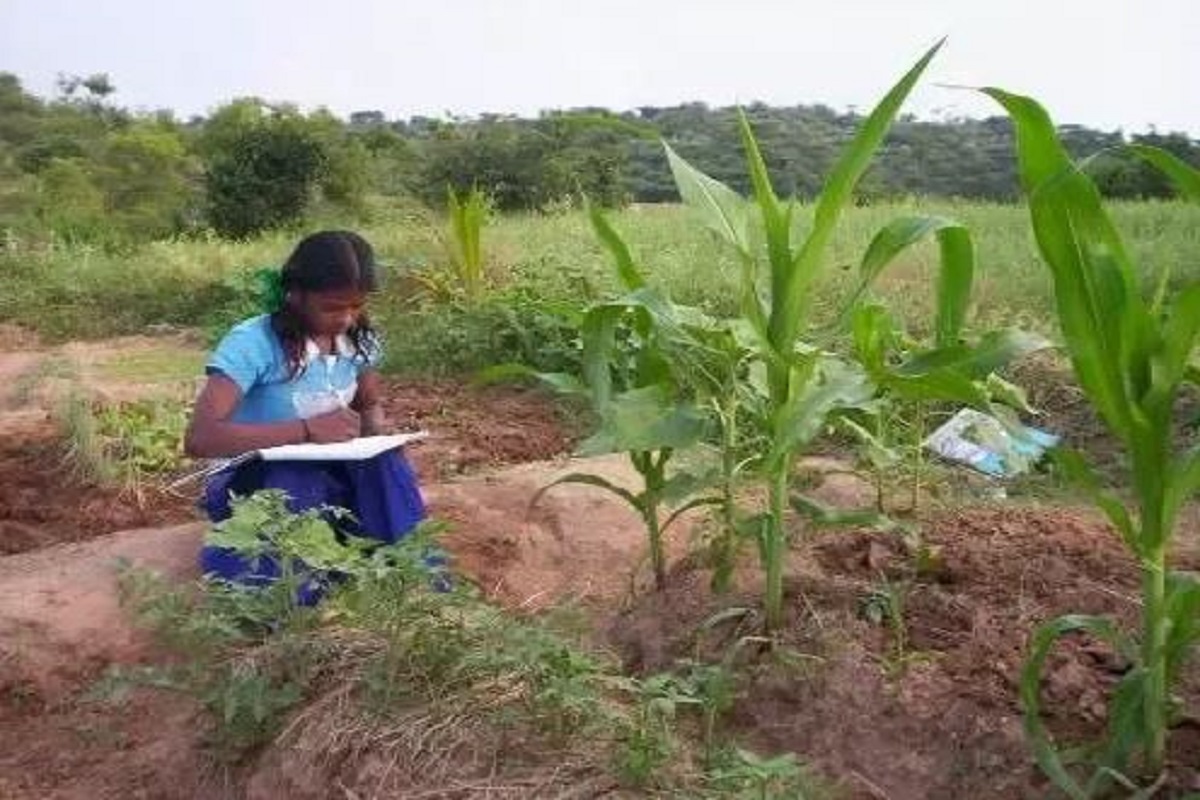महाराष्ट्र सरकार आता नव्या पिढीला शेतीसाठी तयार करण्यास सज्ज