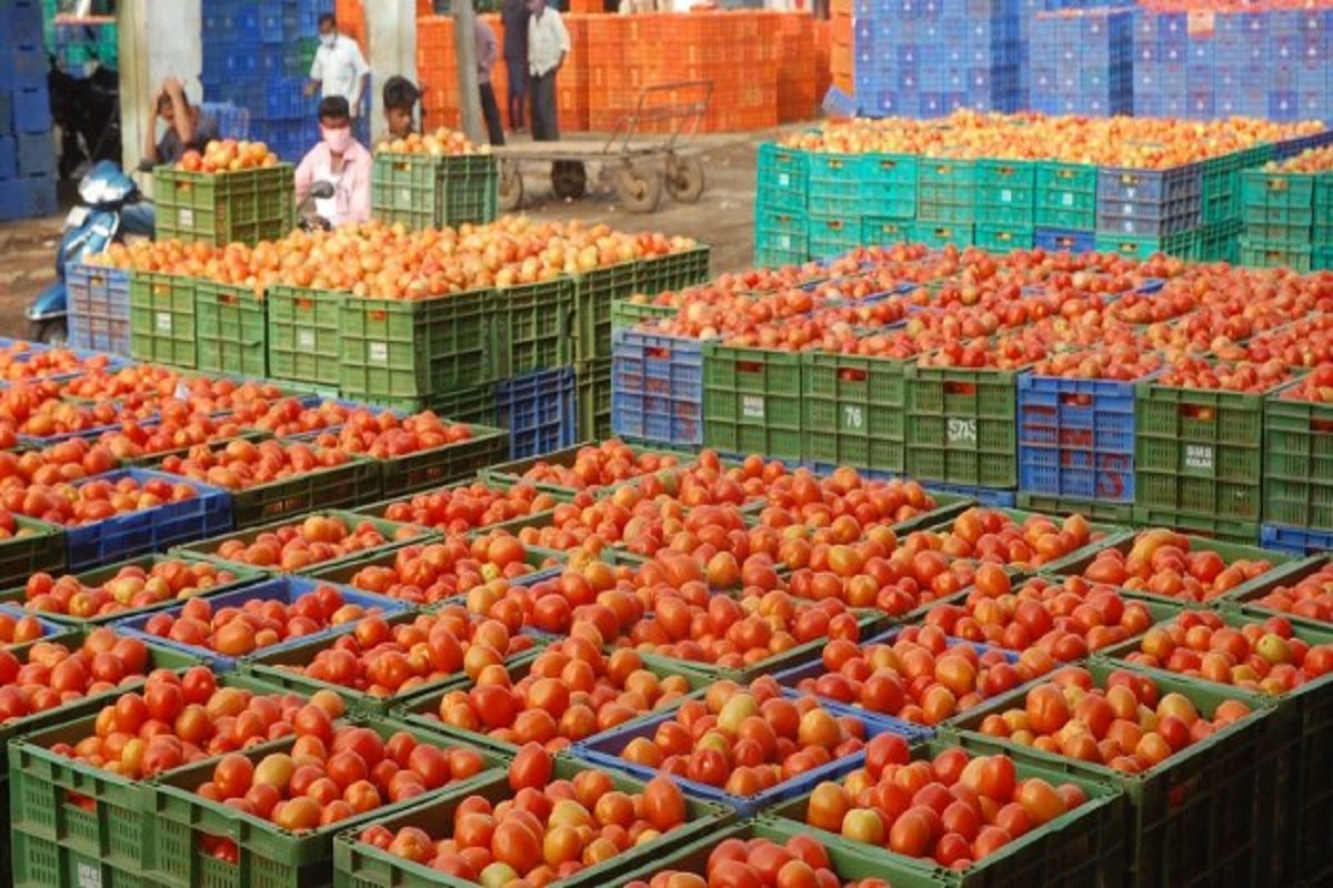 One hundred rupees kilo of tomatoes