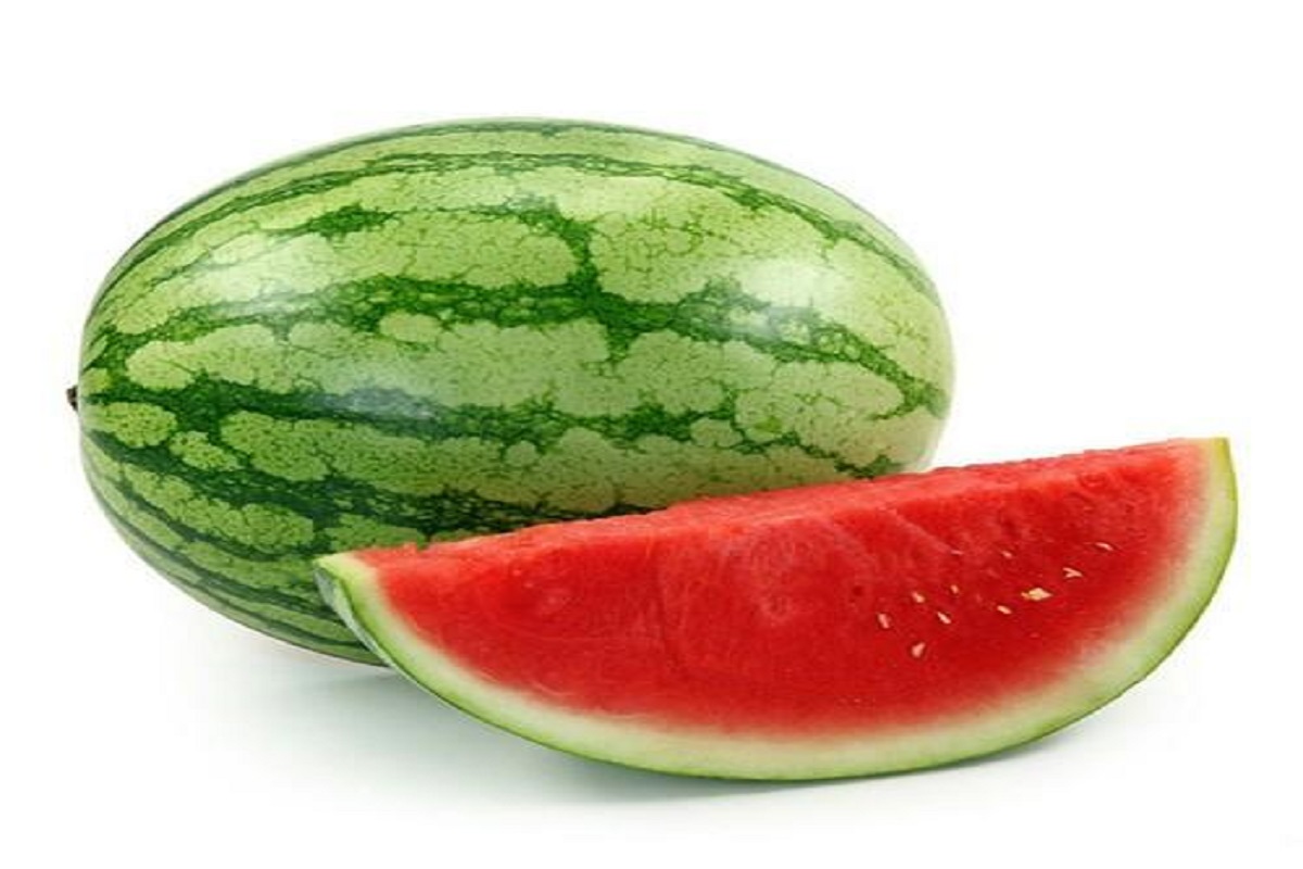 water melon processing is useful than selling water melon in market