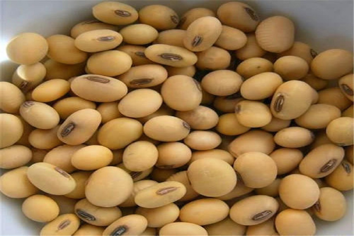 soyabioen seed price growth