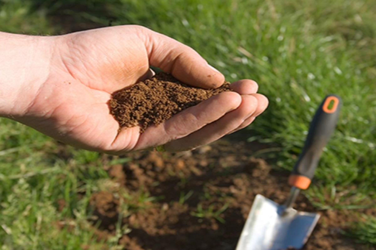 proper method of taking soil sample for soil testing for growth production