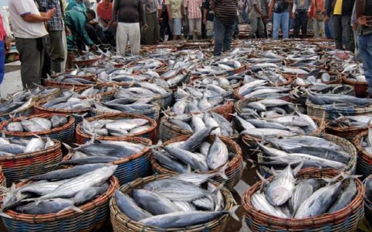 Farmers doors income mixed fisheries
