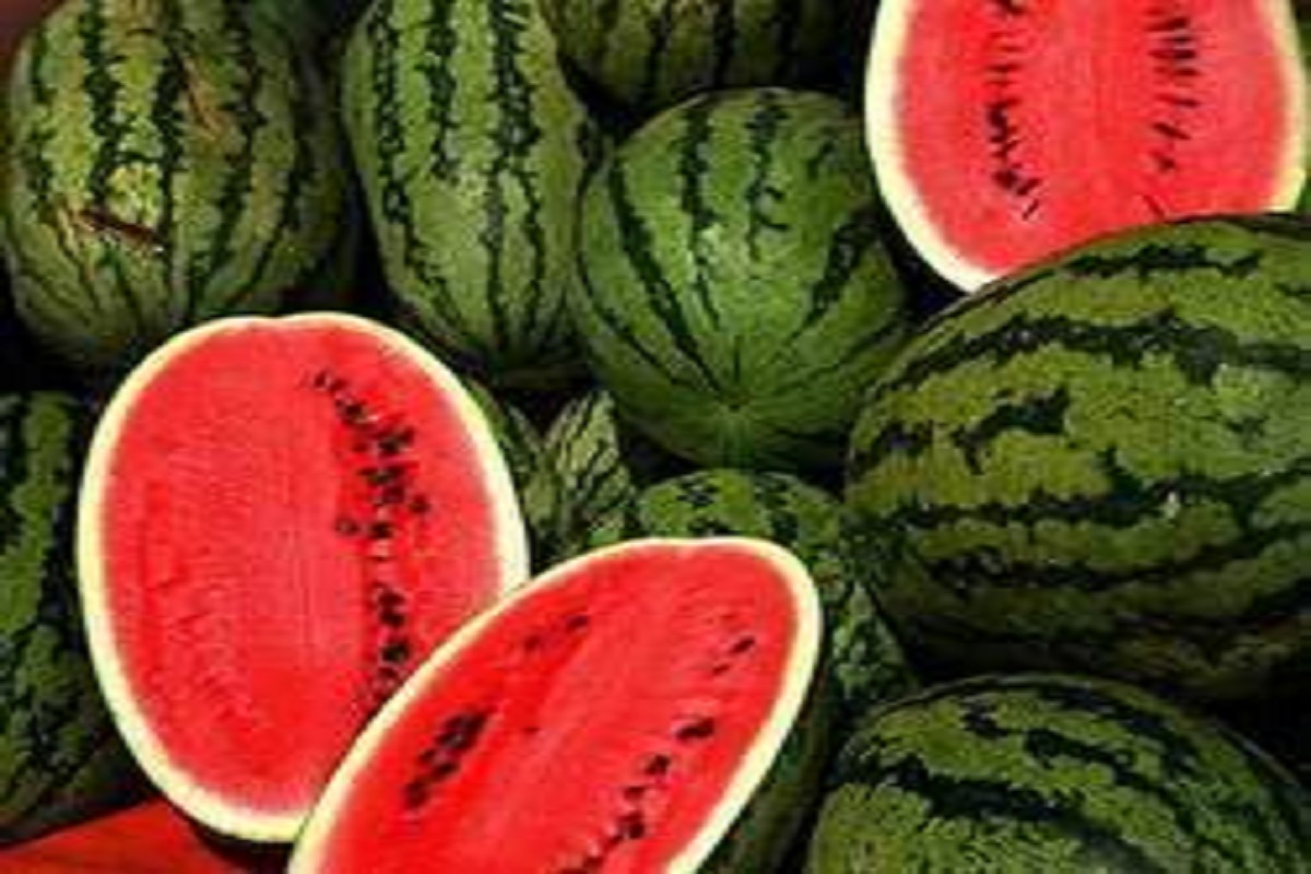 watermelon excess eating maybe harmful for health so take precaution