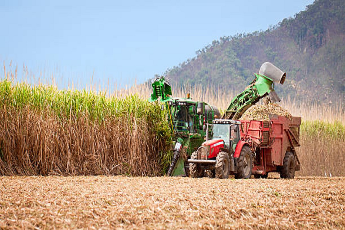 state goverment can take decision to give subsidy to cane crop harvestor
