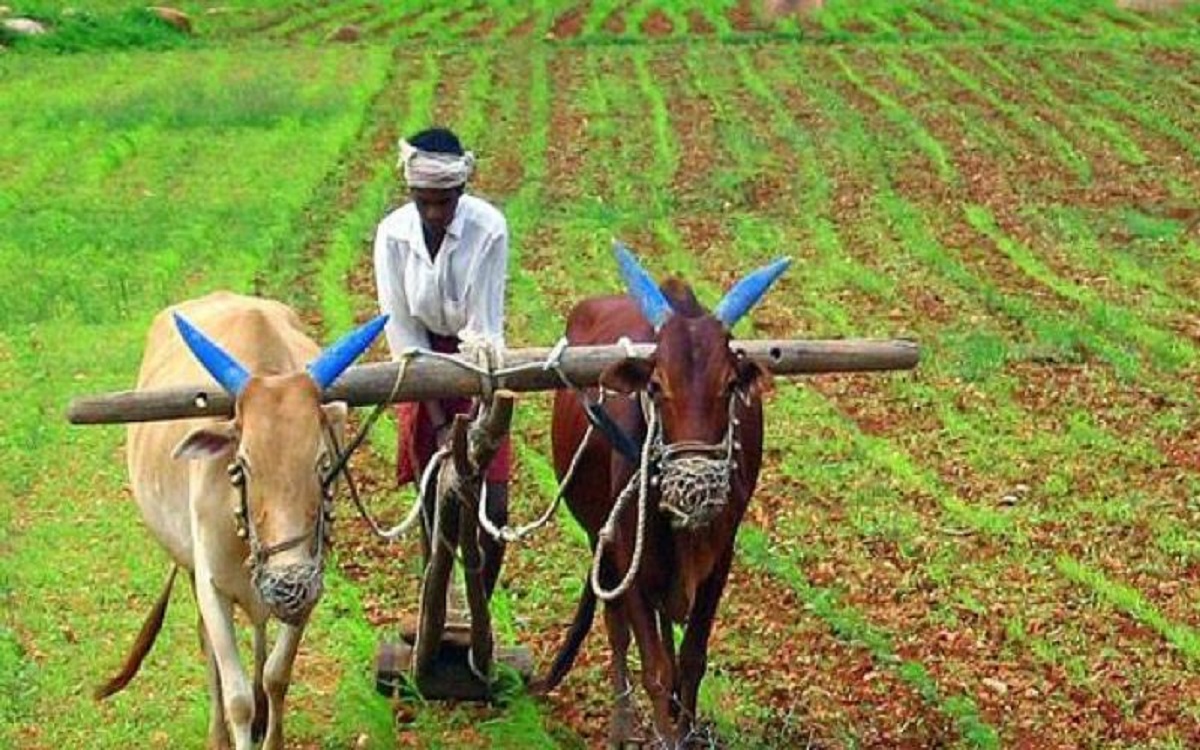 Good news for 13 lakh farmers, 603 crores collected