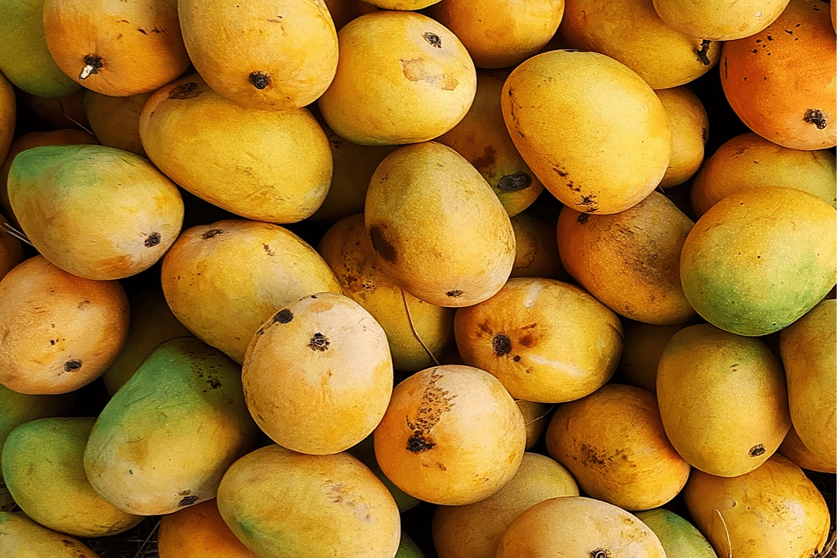 use this tips when you buying mango in market for find put mango ripening process