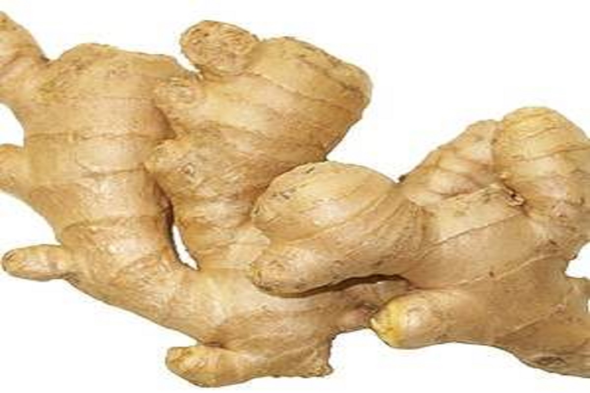 green ginger is so benificial and more advantage to health