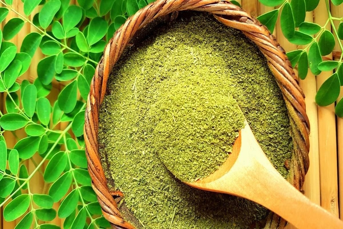 moringa is so benificial for  health that keep fit and healthy