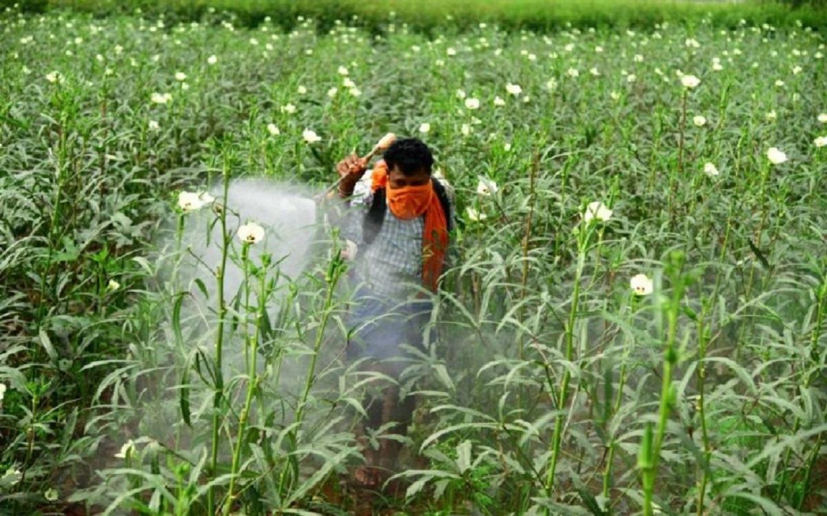 Farmers be careful market of fake pesticides