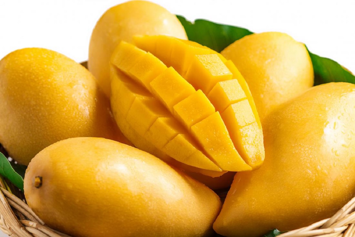 side effect of mango
