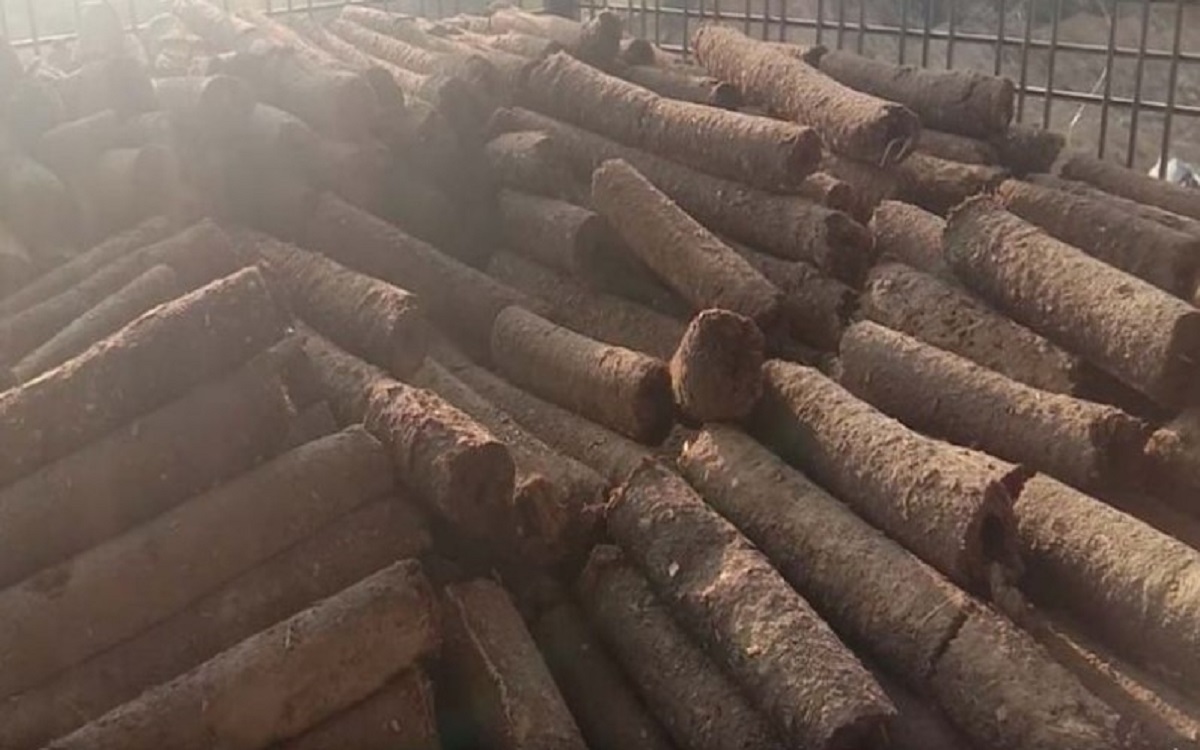 Farmers start business making paper wood from dung