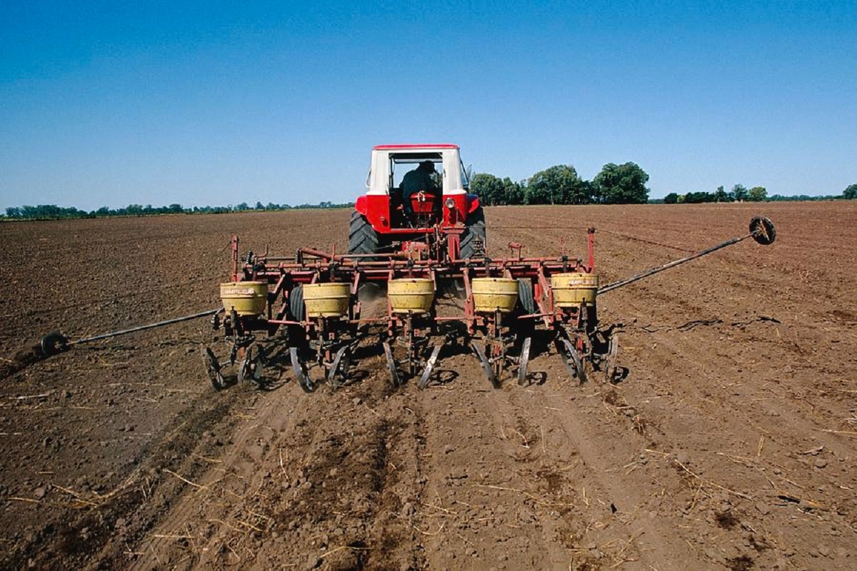 sowing by tractor
