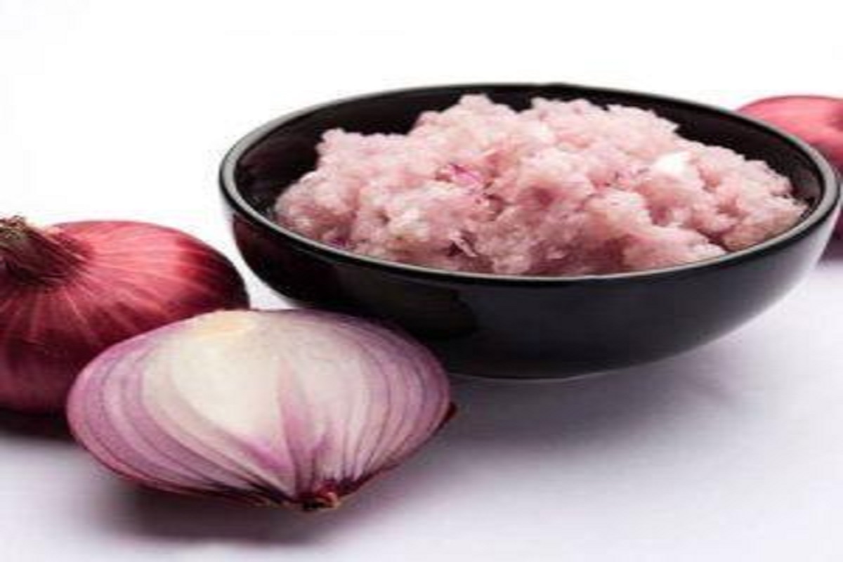onion paste business