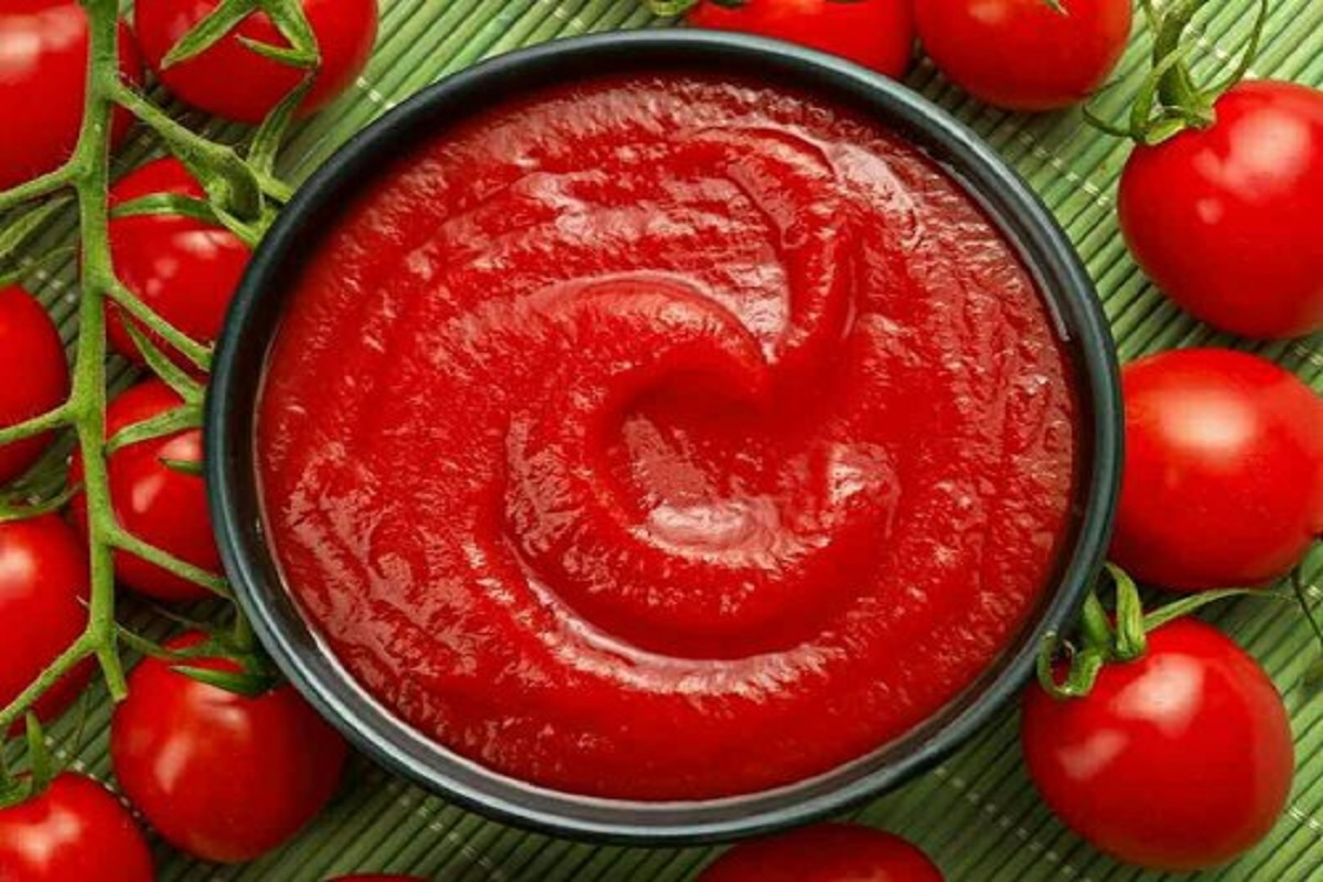 tomato saus business