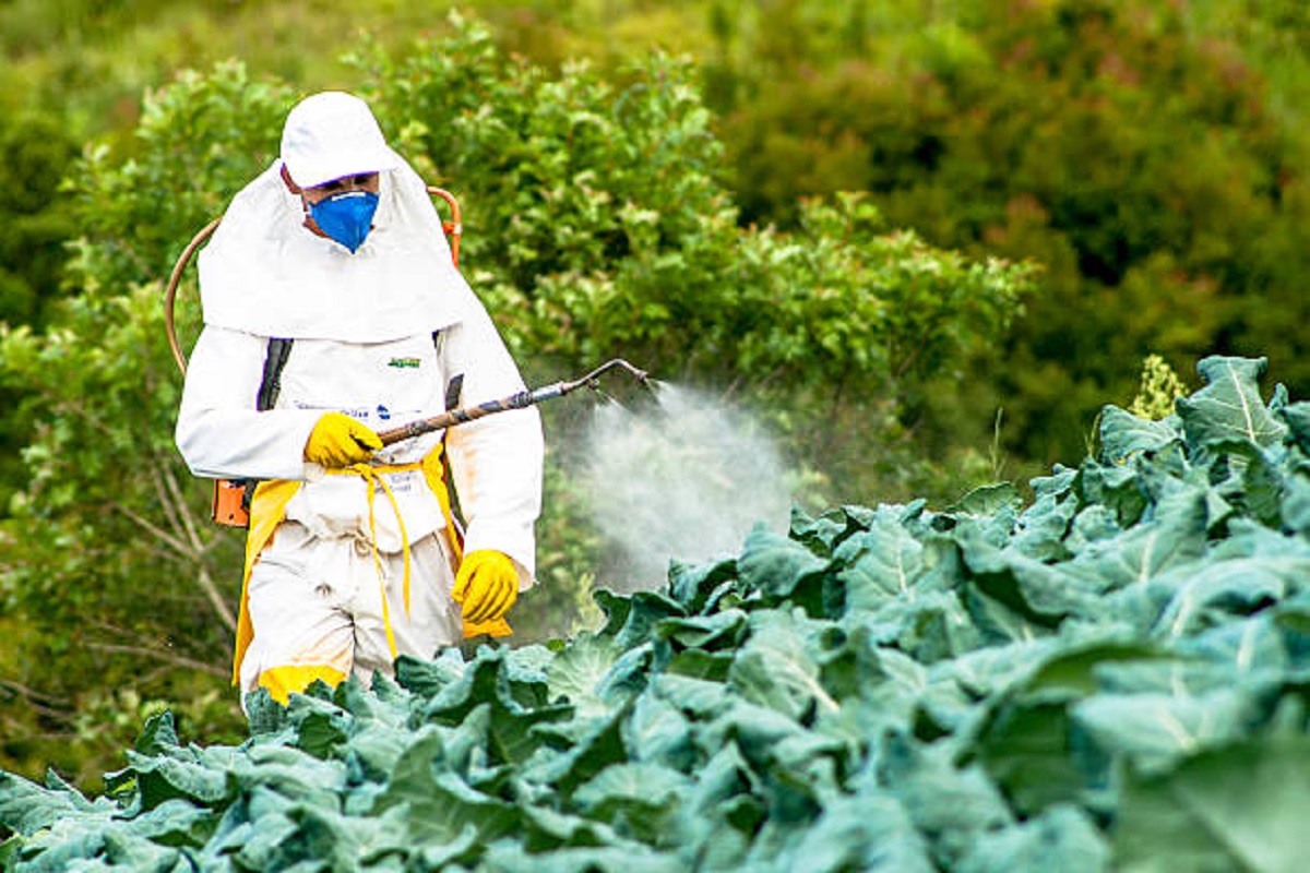 history of use of pesticide and chemical fertilizer in farming
