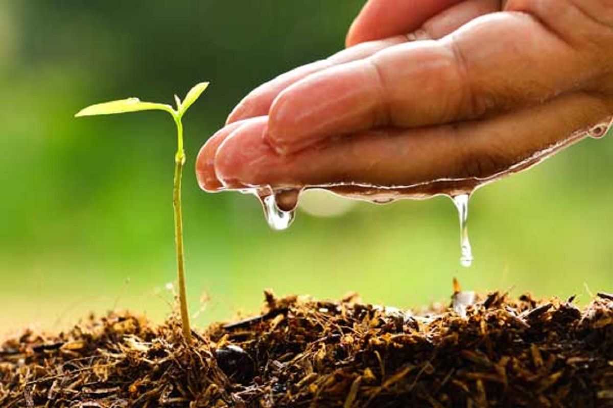 water and soil  important for crop