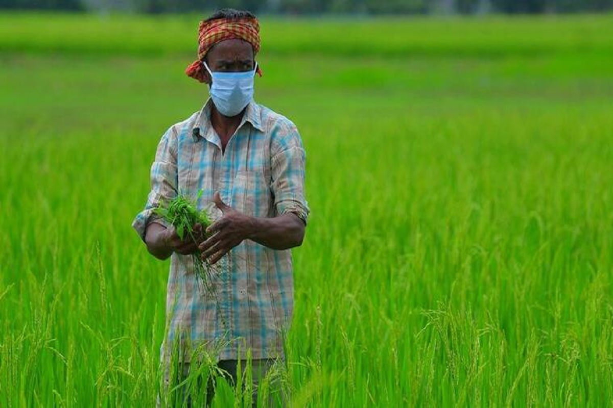 haryana goverment farmer policy