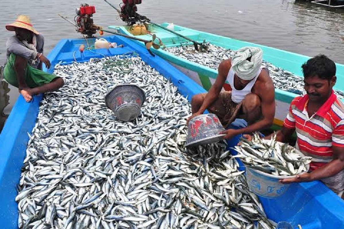 start fish farming on 60% subsidy