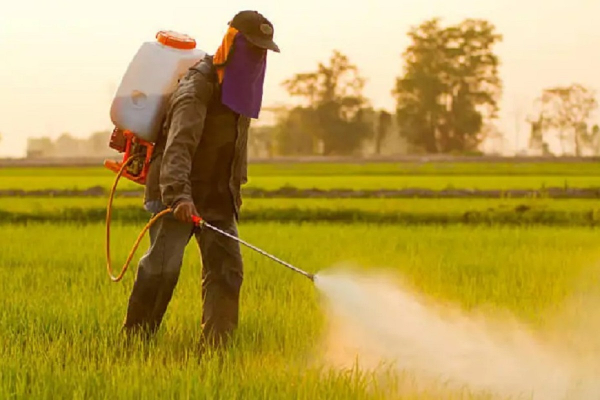 Farmers' lives threatened pesticides.