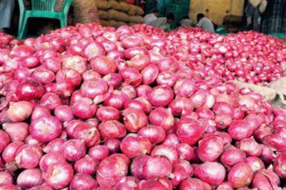 onion price falling