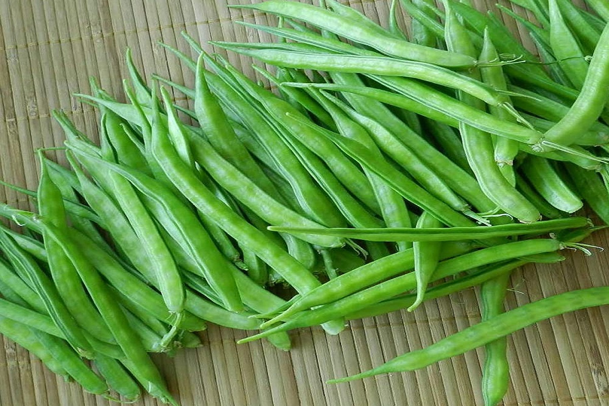 clustor beans crop