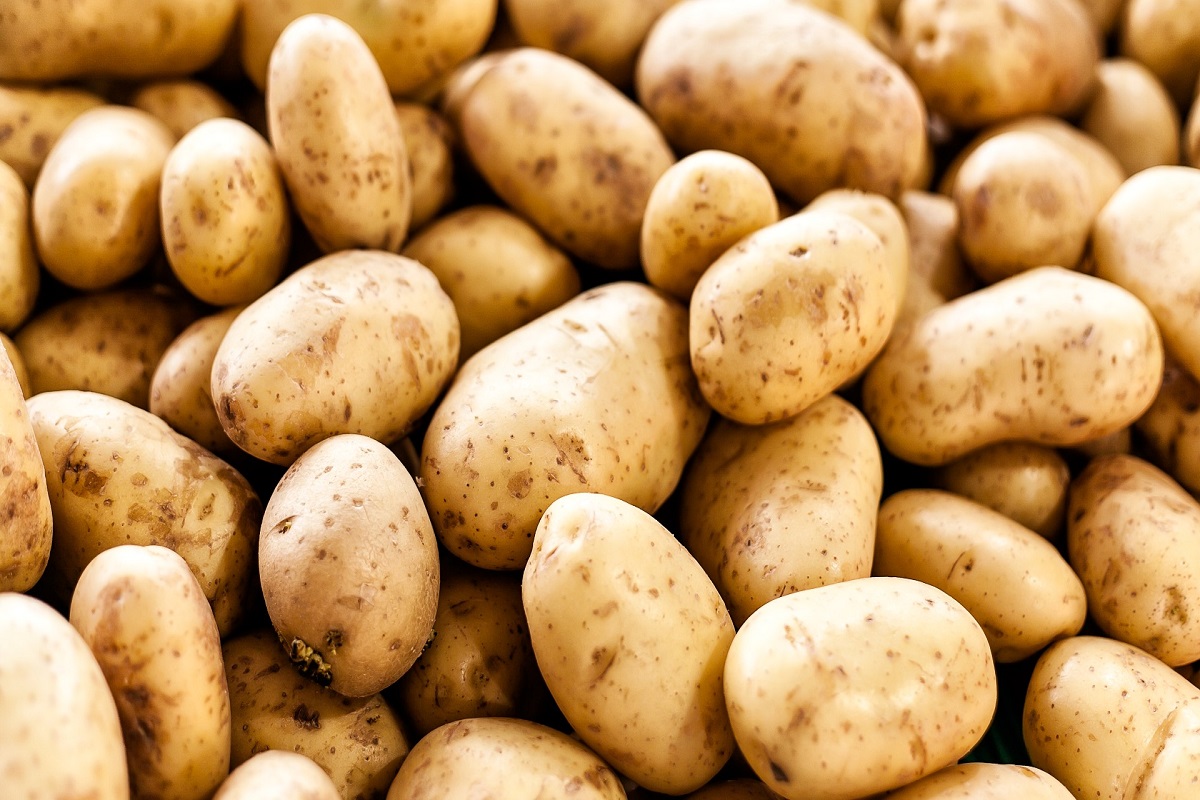 market situation of potato