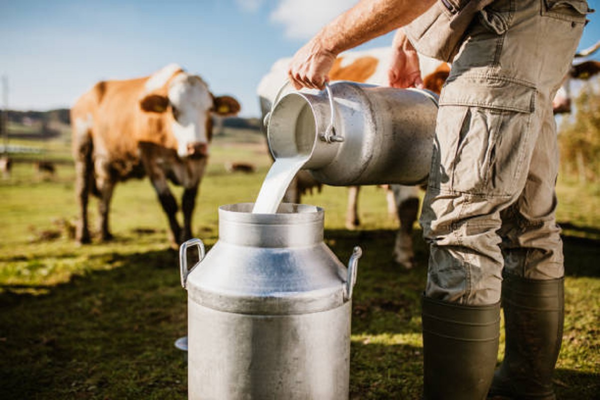 tips for growth milk production