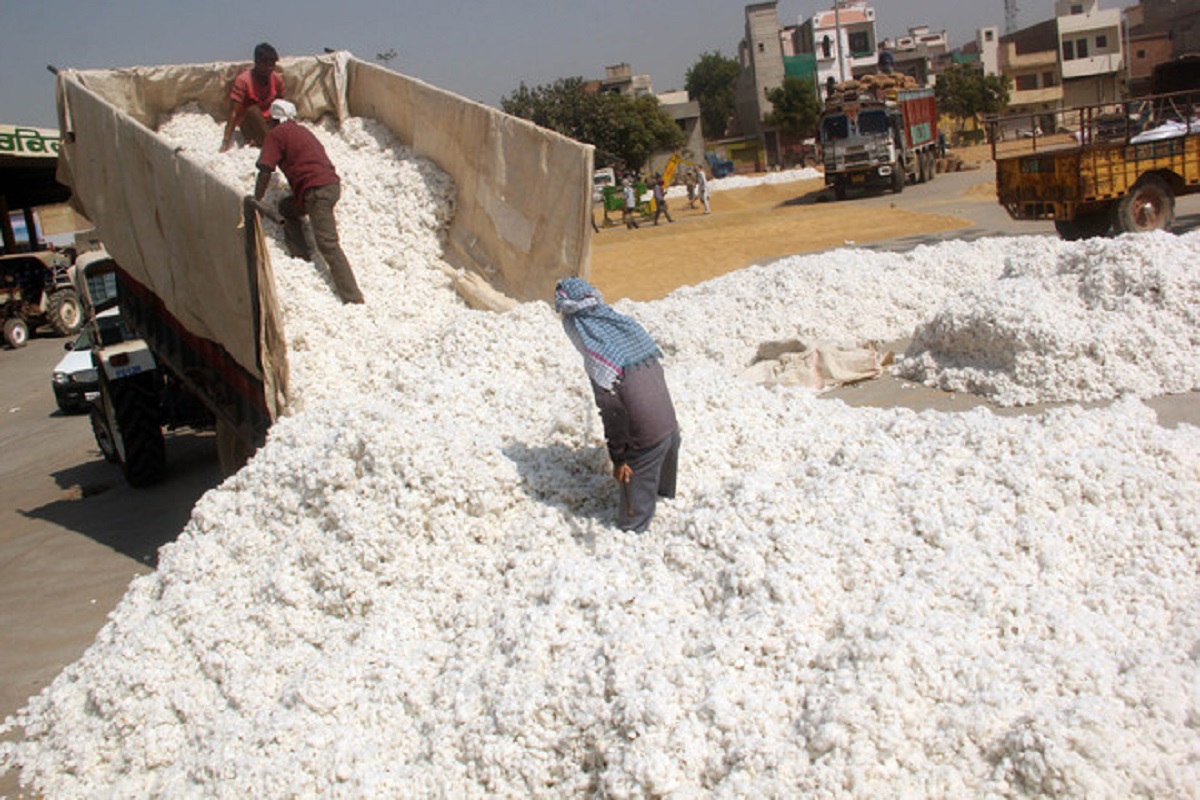 market rate of cotton