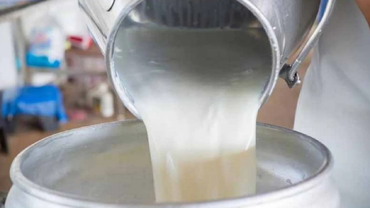 increase milk price