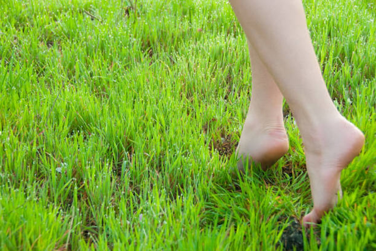 health benifit to walking onb green grass
