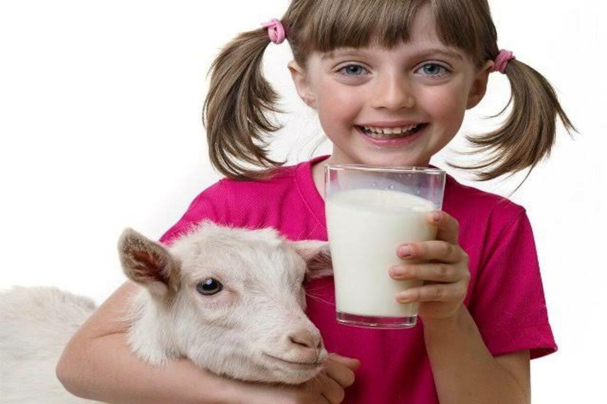 goat milk benefits marathi