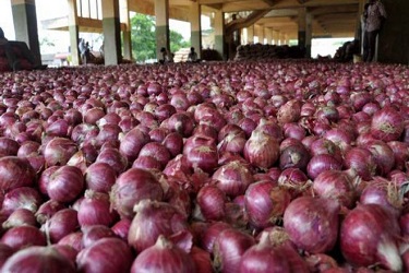 onion prices