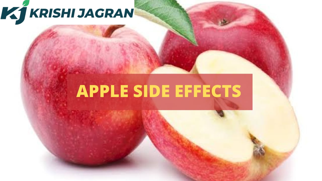apple side effects in marathi