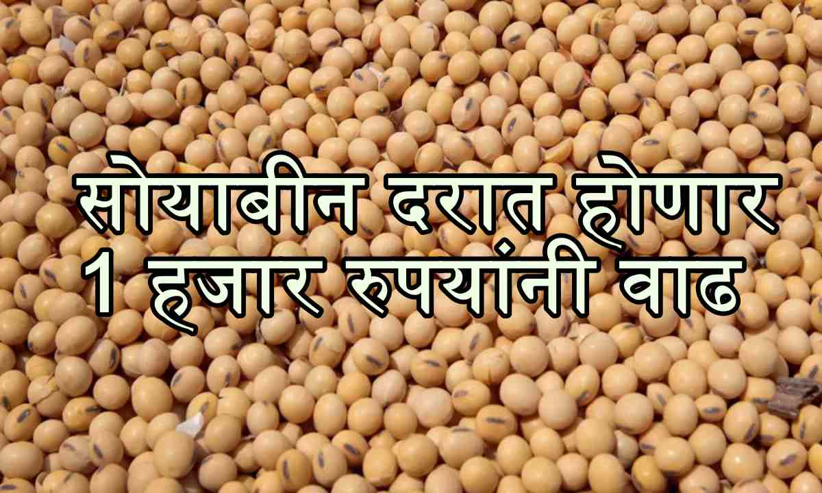 Soybean price increase