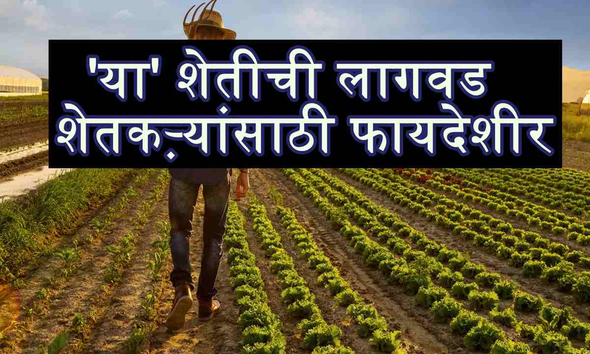 Cultivation agriculture