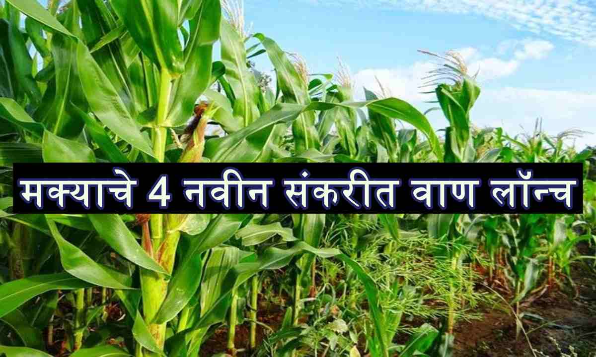 beneficial farmers