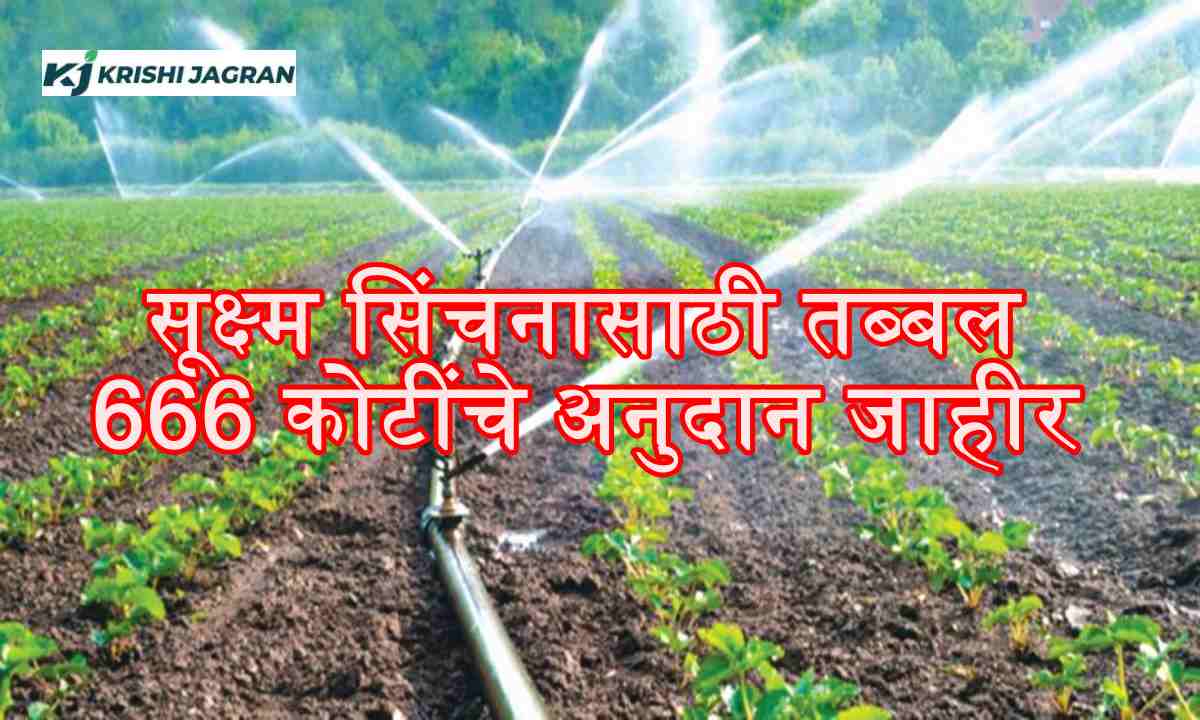 micro irrigation