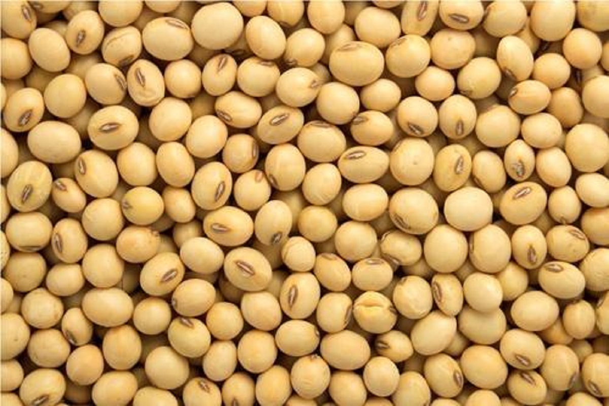 prohibition of futures on soyabean