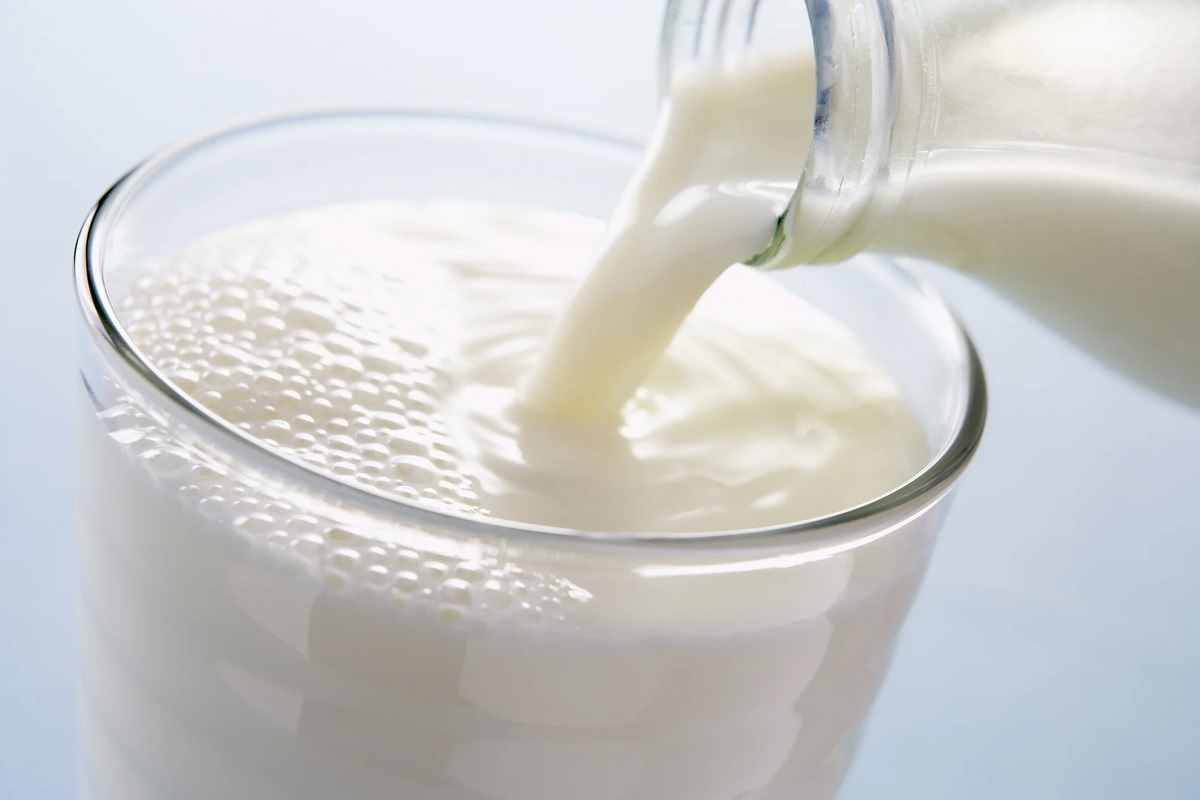 expert opinion on drink milk in influence of lampy disease