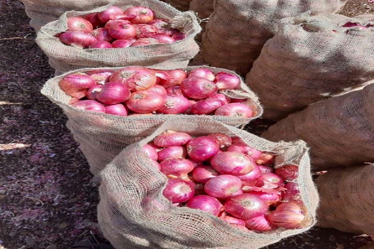 onion bag making business