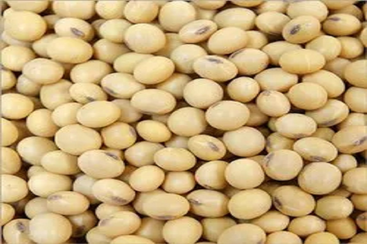 soyabean rate update