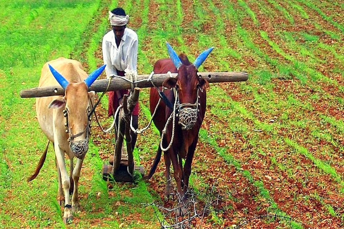 farmar agricultural work