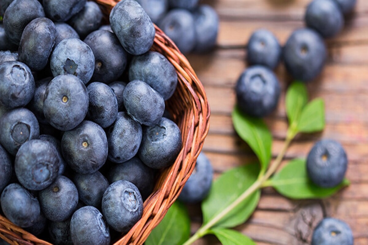 bluebeery fruit