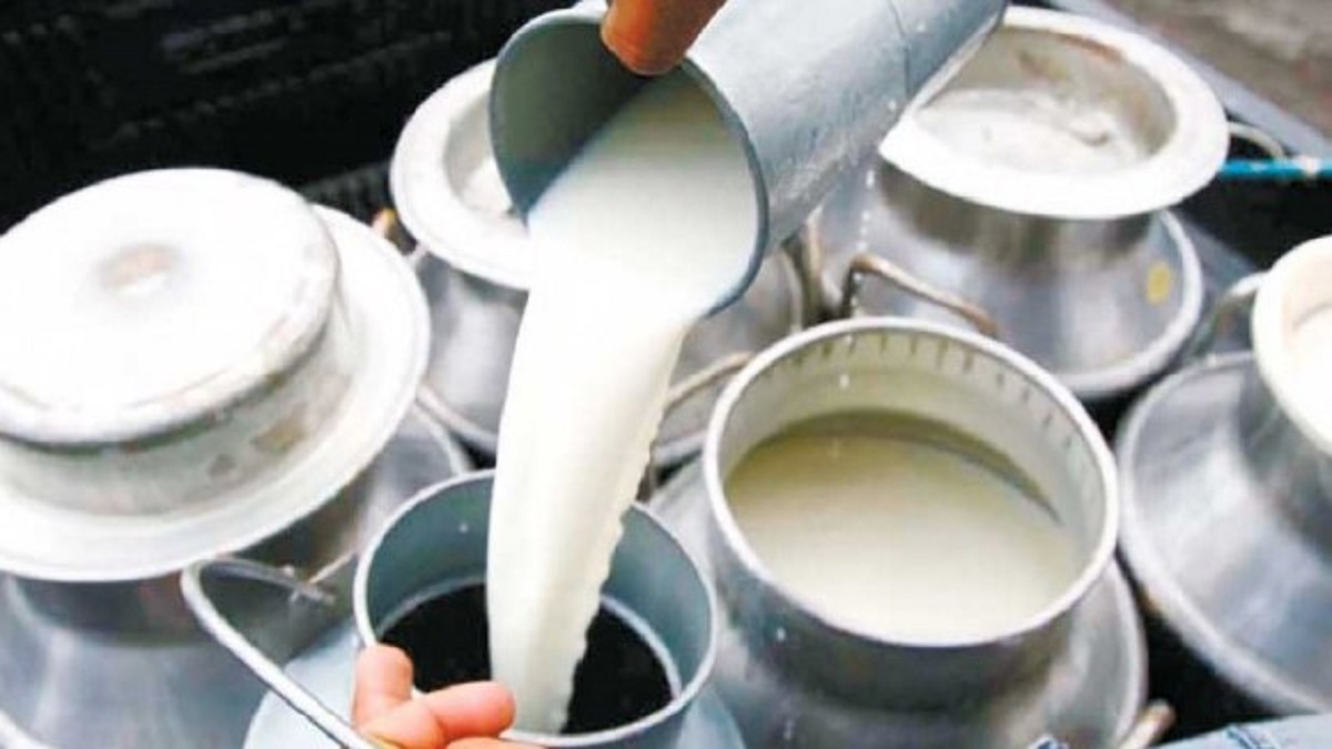 Milk prices will increase further