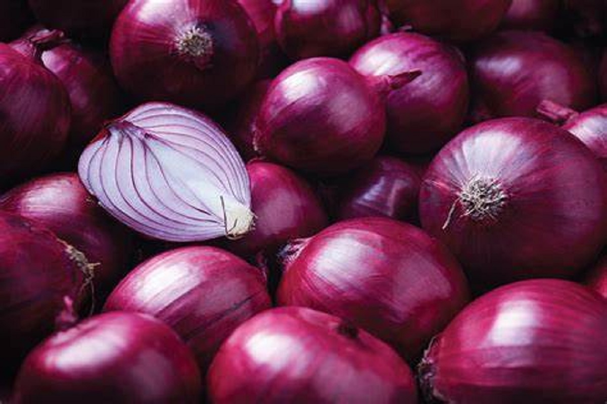 red onion market rate update