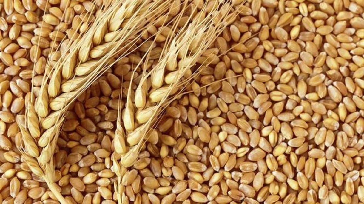 increase price wheat