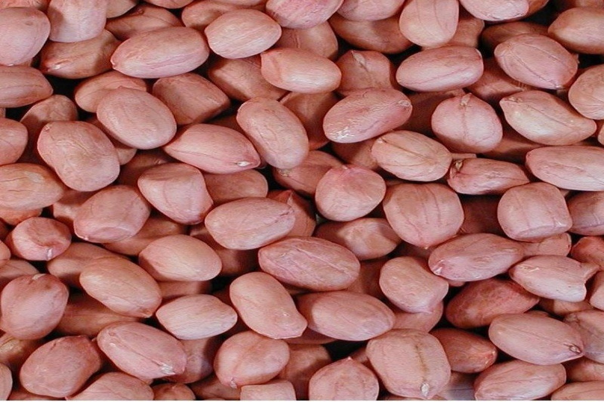 health effect of groundnut