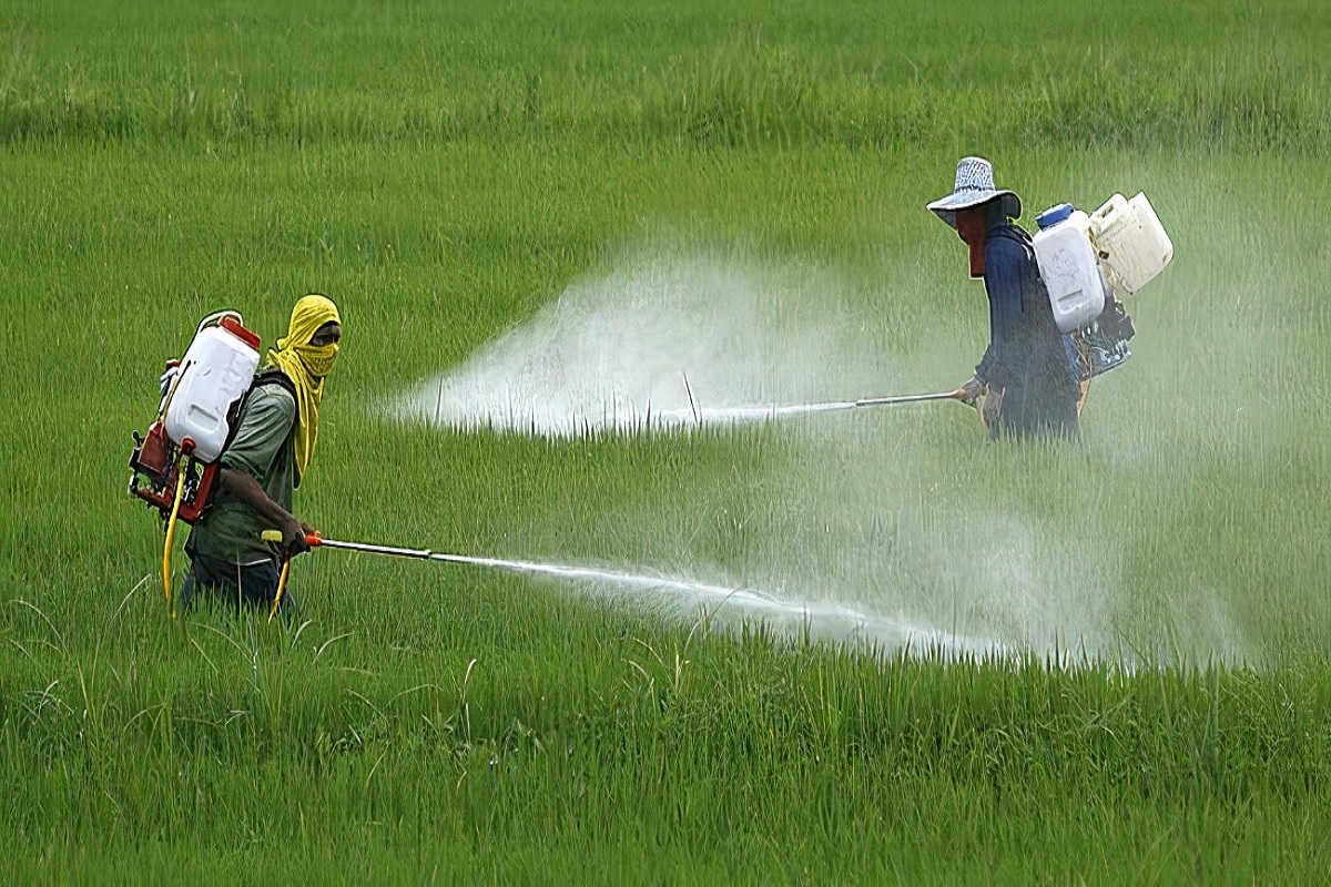 central government decision about insecticide